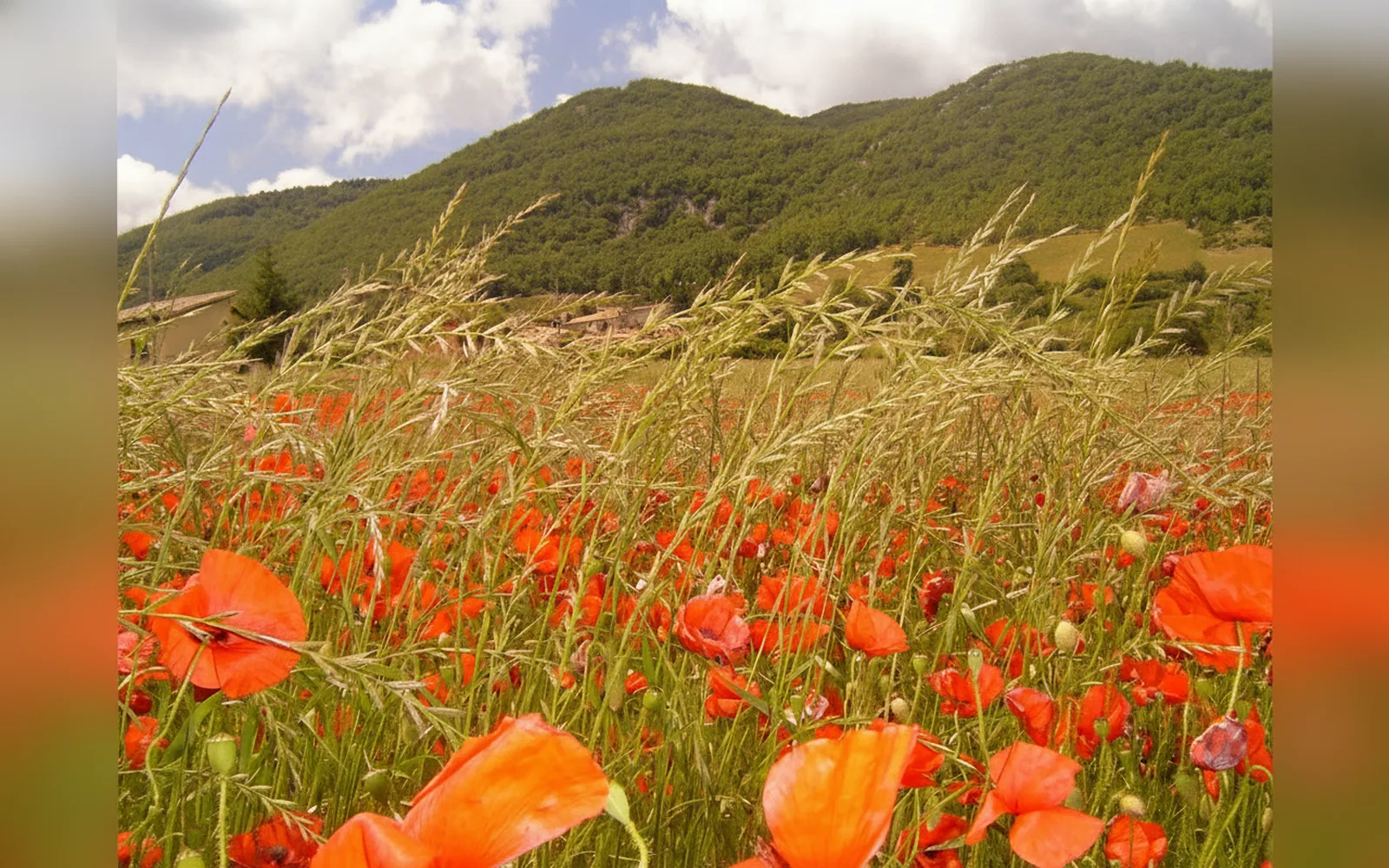 Antonia Home — Appartamento nel centro storico di Spoleto, 
